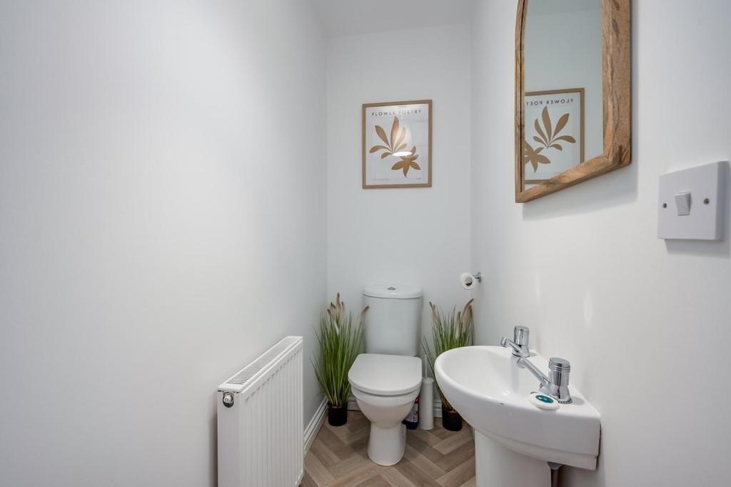 Central Belfast Apartments Chill R&R Zewnętrze zdjęcie
